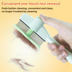 Steam pet brush