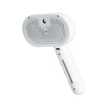 Steam pet brush