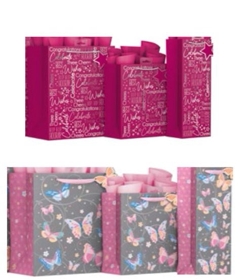 Mixed ladies gift bag bundle YALAB21C image 0