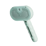 Steam pet brush