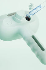 Steam pet brush