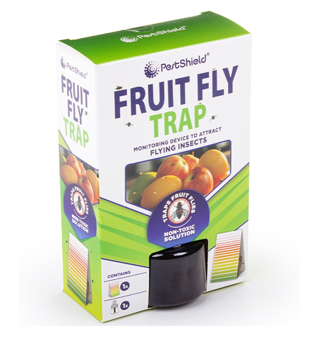 Fruit fly trap