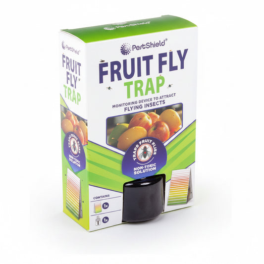 Fruit fly trap