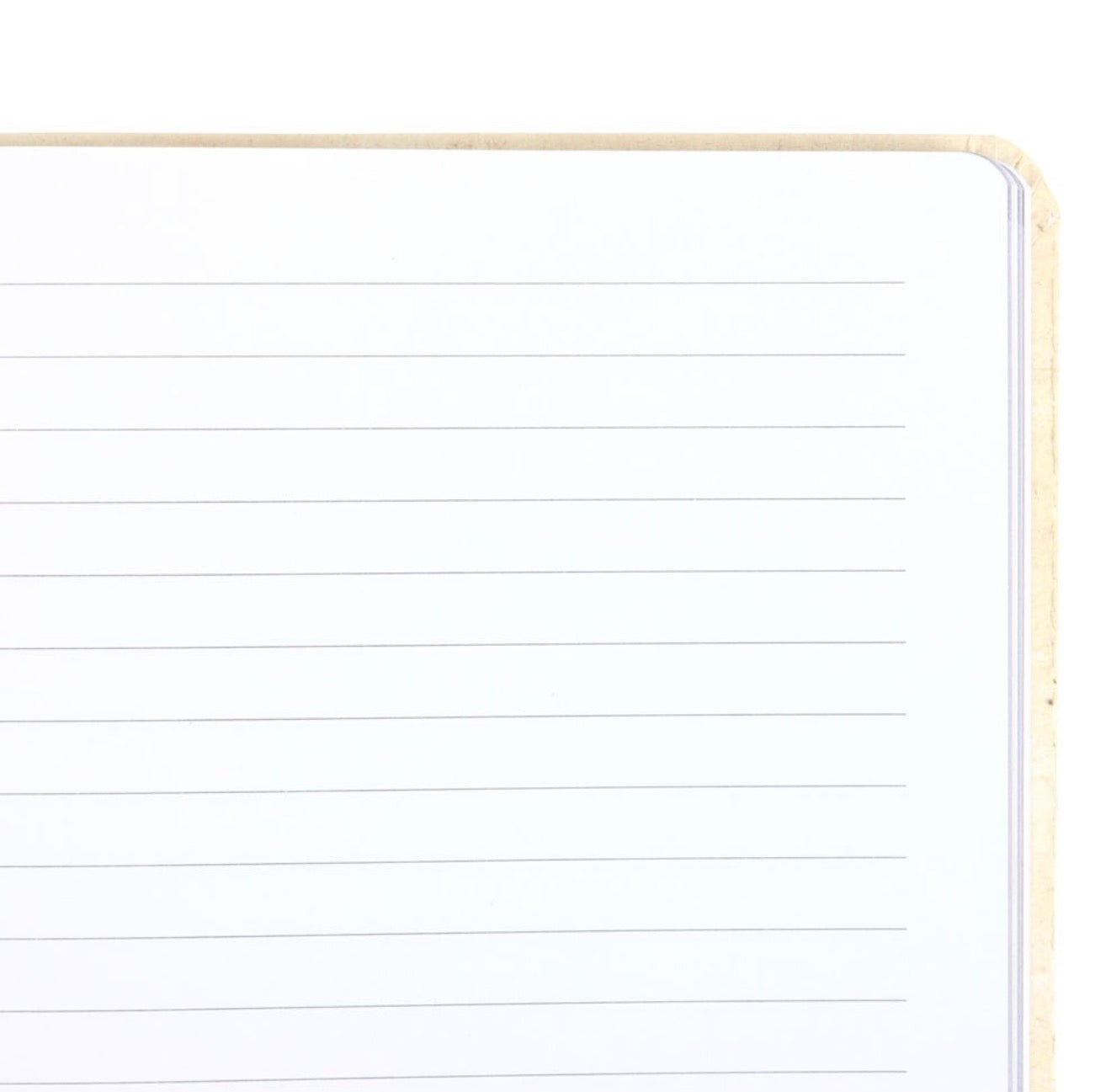 Enchanted forest A5 notebook