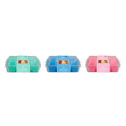 8-compartment snack box with handle