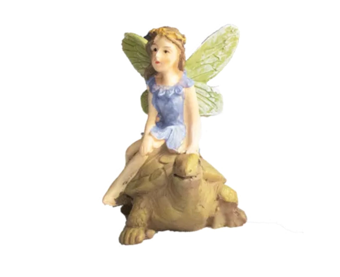 Fairy on tortoise/snail/ladybird