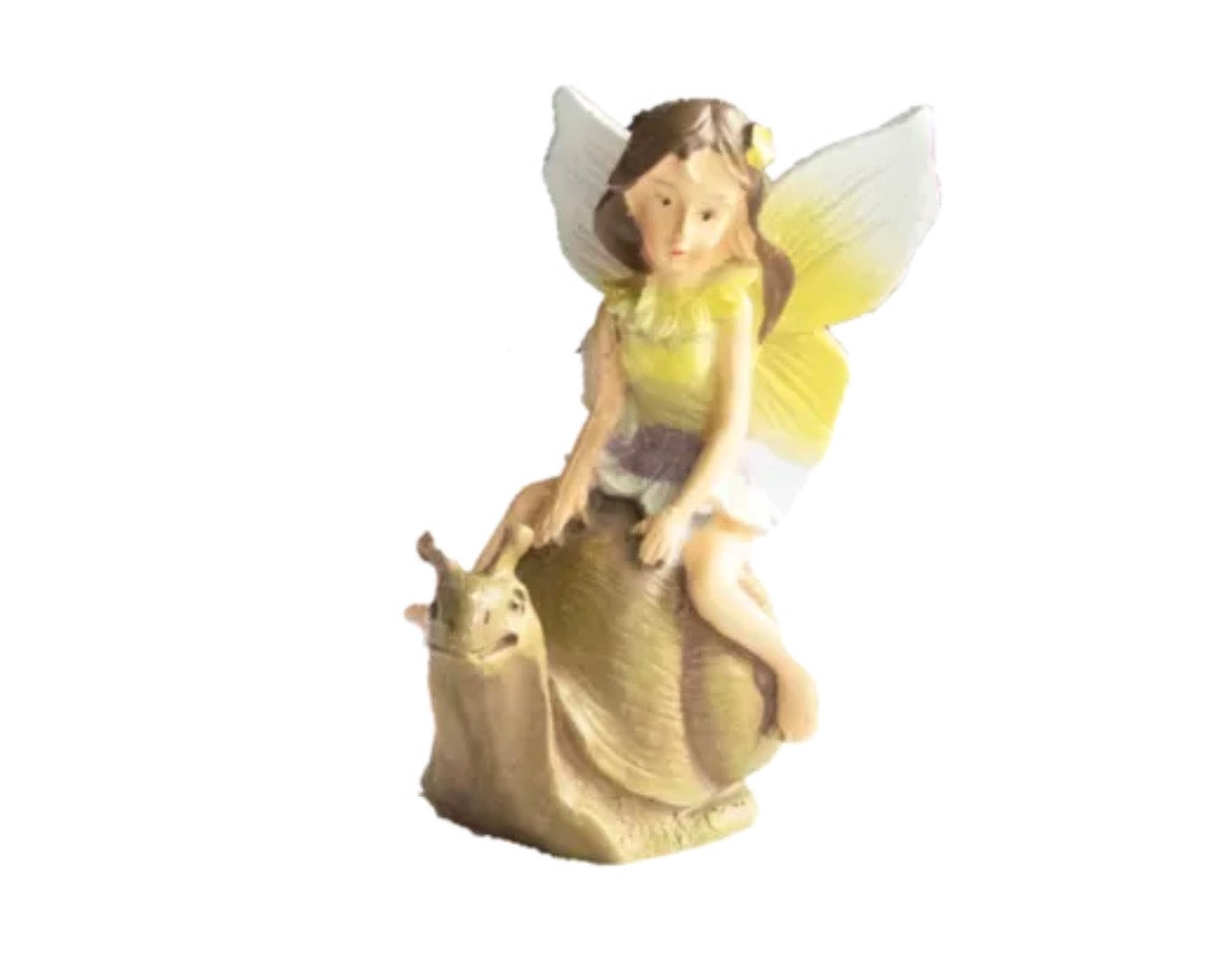 Fairy on tortoise/snail/ladybird