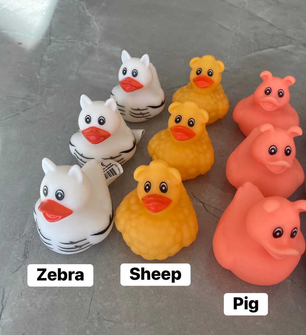 Novelty rubber duck