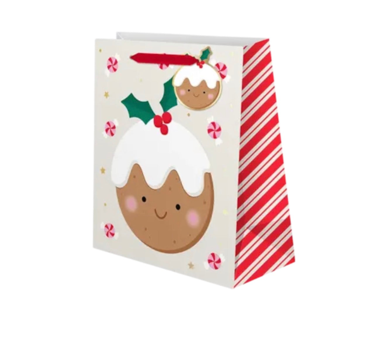 Medium Christmas gift bag - assortment 3