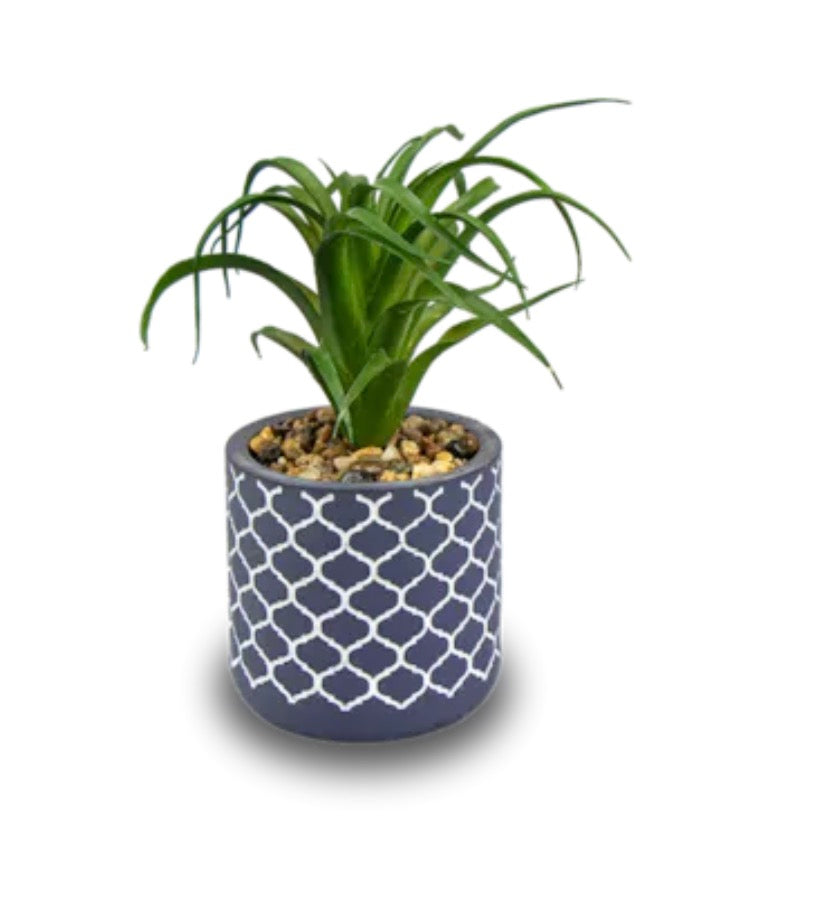 Artificial plant in navy geo pot
