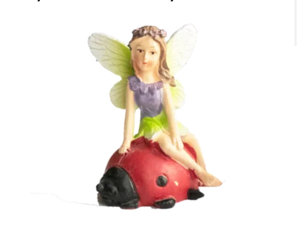 Fairy on tortoise/snail/ladybird