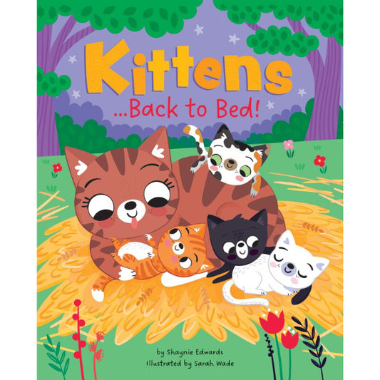 Kittens back to bed picture book