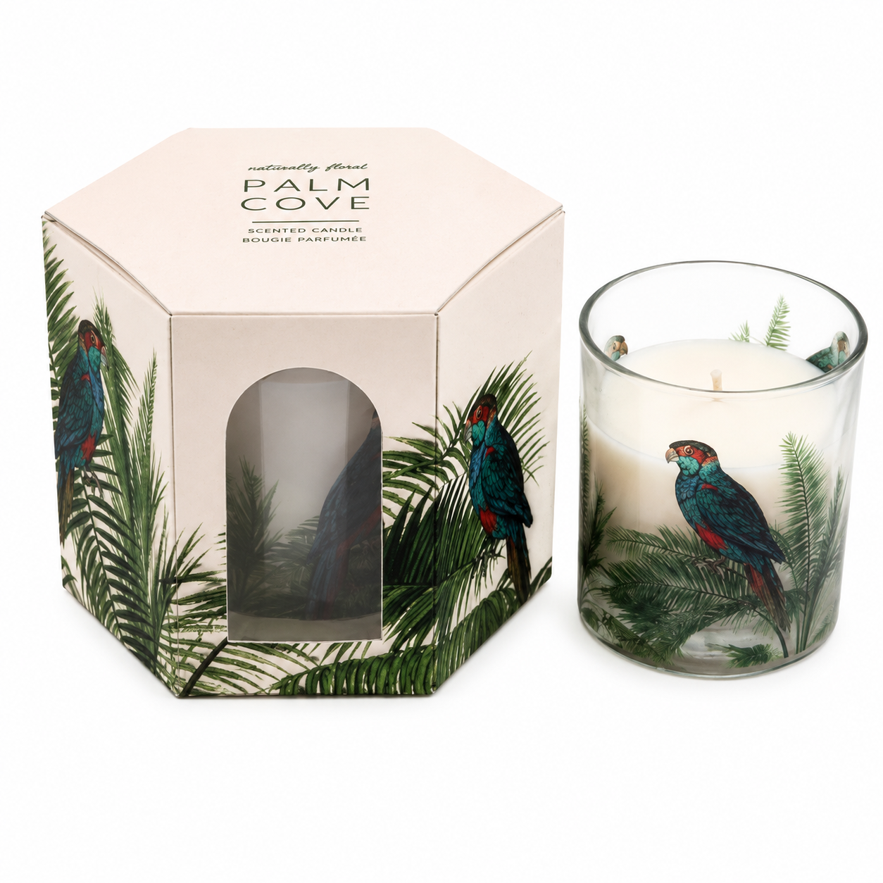 Parrot palm boxed candle