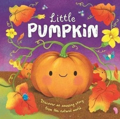 Little pumpkin reading book