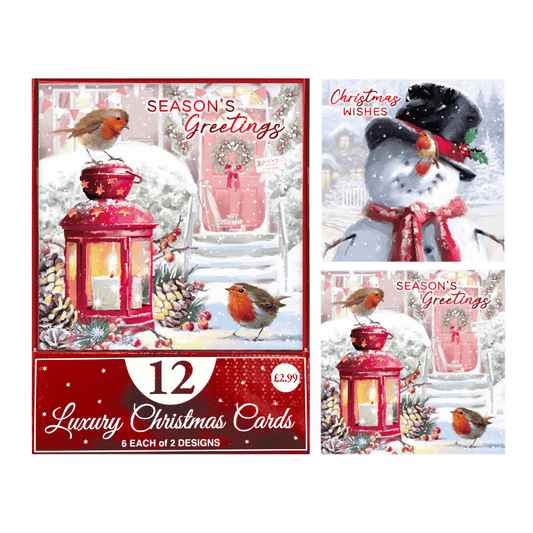 Christmas cards - snowman & robin