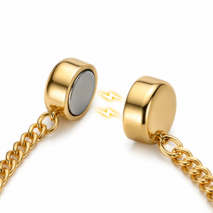 Magnetic clothing styling clips 2 pack