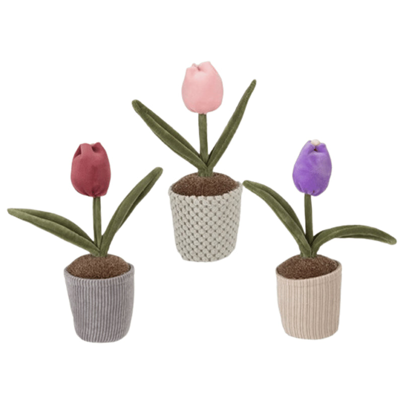 Ornamental plush single tulip in pot