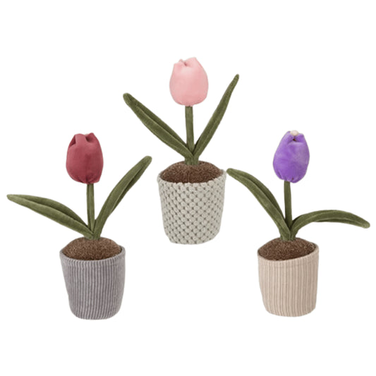 Ornamental plush single tulip in pot