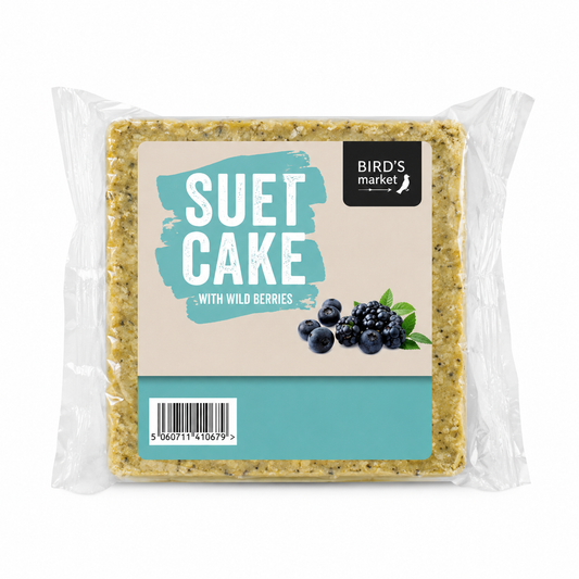 Wild bird suet cake with wild berries